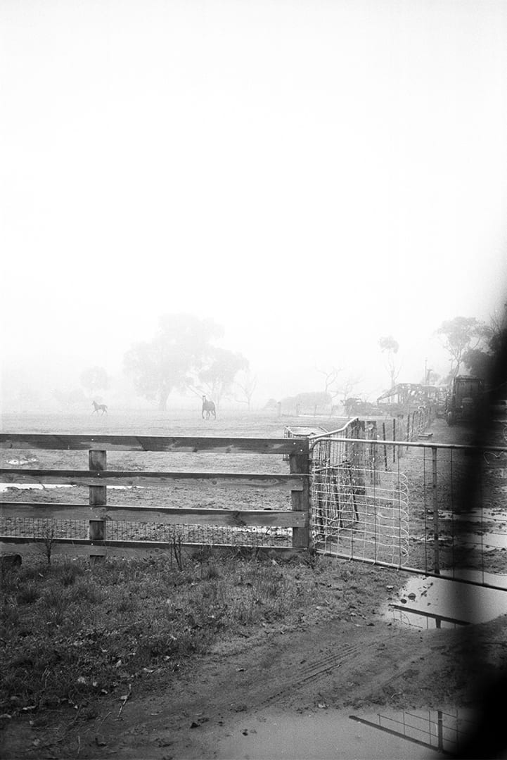The Tale of Becoming; Blind photo 2